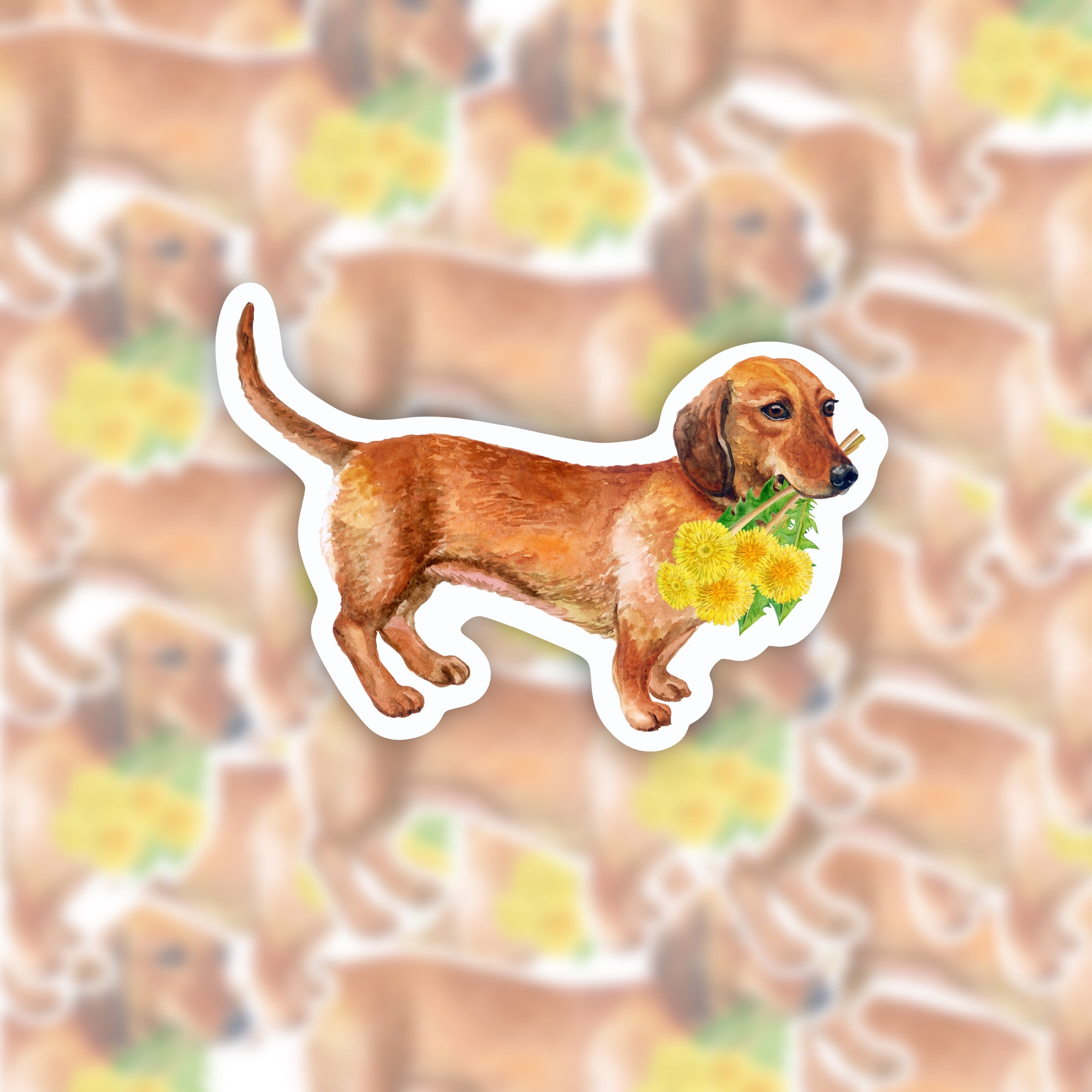 Dachshund waterproof sticker - dog sticker for car - dog magnet for car - RF design company