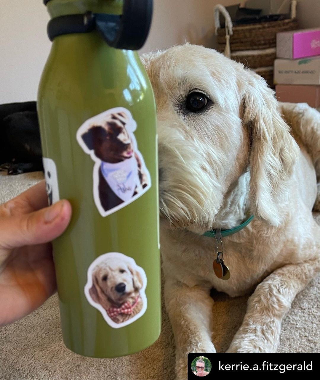 Personalized pet sticker - waterproof sticker - RF Design Company