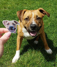 Load image into Gallery viewer, Personalized pet sticker - waterproof sticker - RF Design Company
