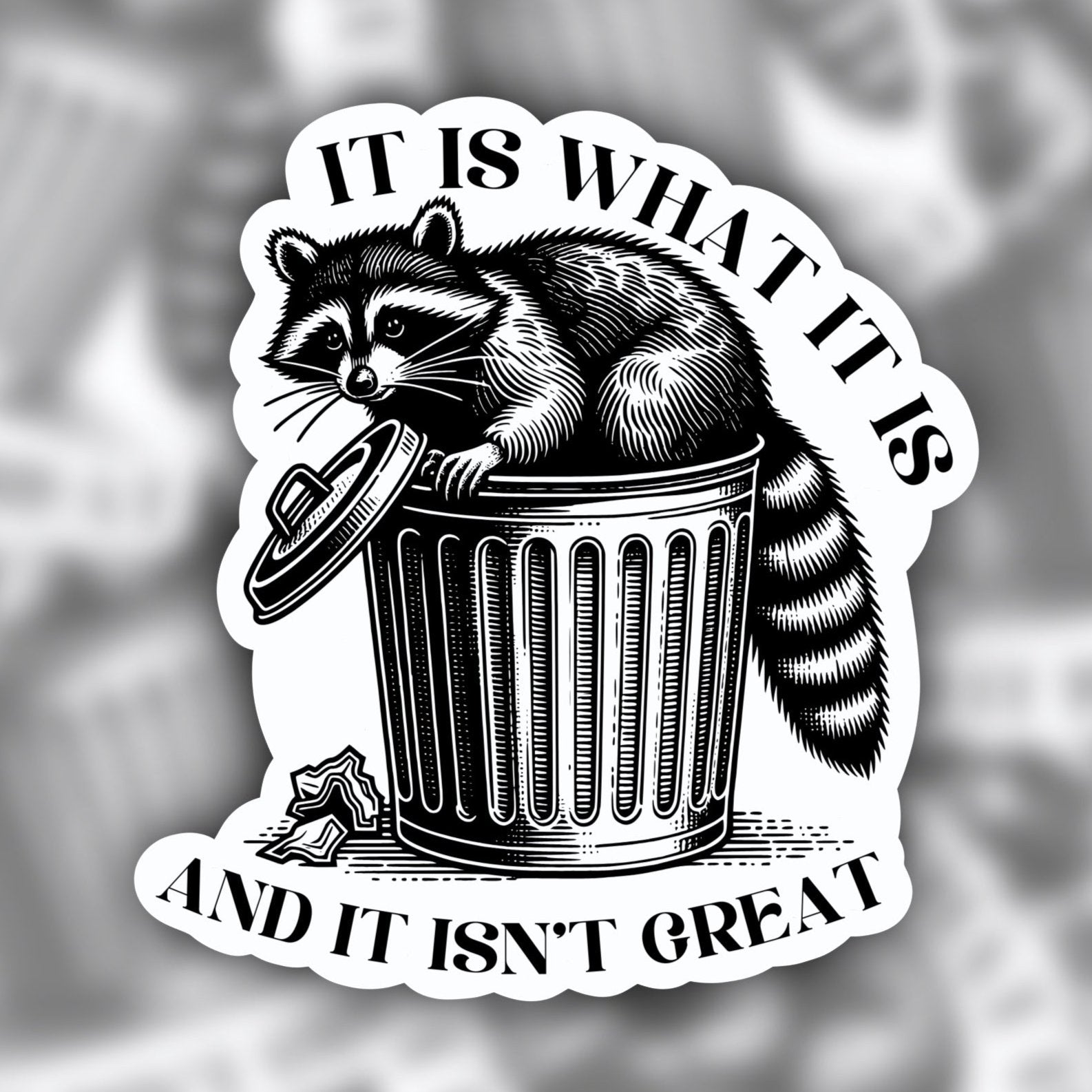 it is what it is sticker - raccoon sticker - waterproof sticker - trendy sticker - funny sticker - RF Design Company