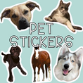 Load image into Gallery viewer, Personalized pet sticker - waterproof sticker - RF Design Company
